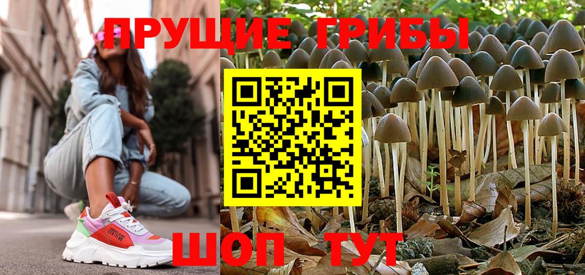 Псилоцибиновые грибы GOLDEN TEACHER Назрань