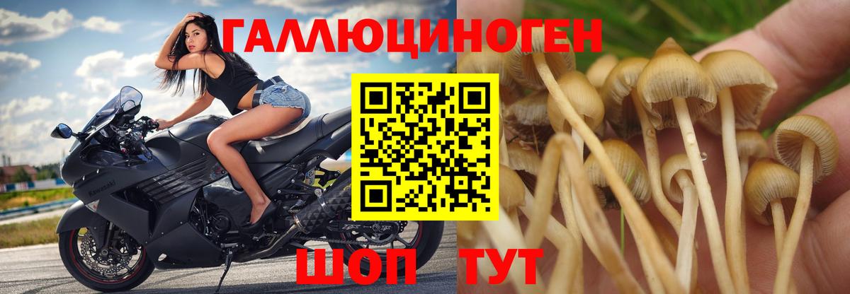 Назрань  Псилоцибиновые грибы Magic Shrooms  Вход с VPN 
